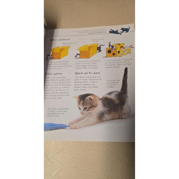 Cats and Kittens Usborne First Pets With Internet Link Paperback - Picture 3 of 6